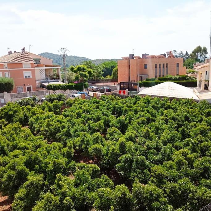 Appartamento Piso Sierra Calderona A 15 Minutos Del Mar Estivella Esterno foto