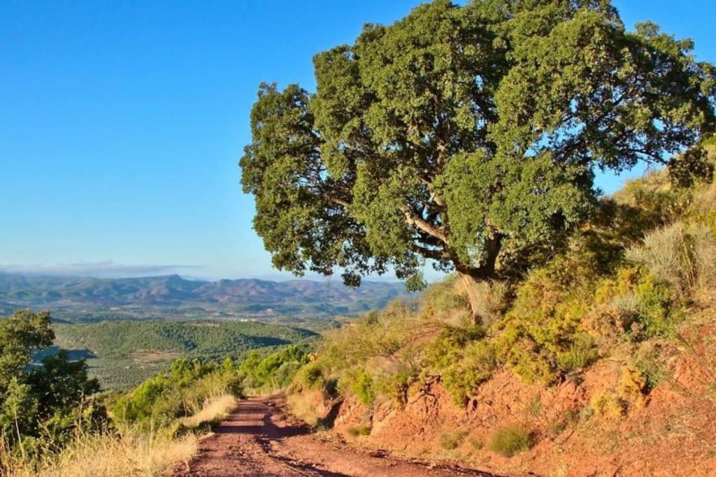 Appartamento Piso Sierra Calderona A 15 Minutos Del Mar Estivella Esterno foto